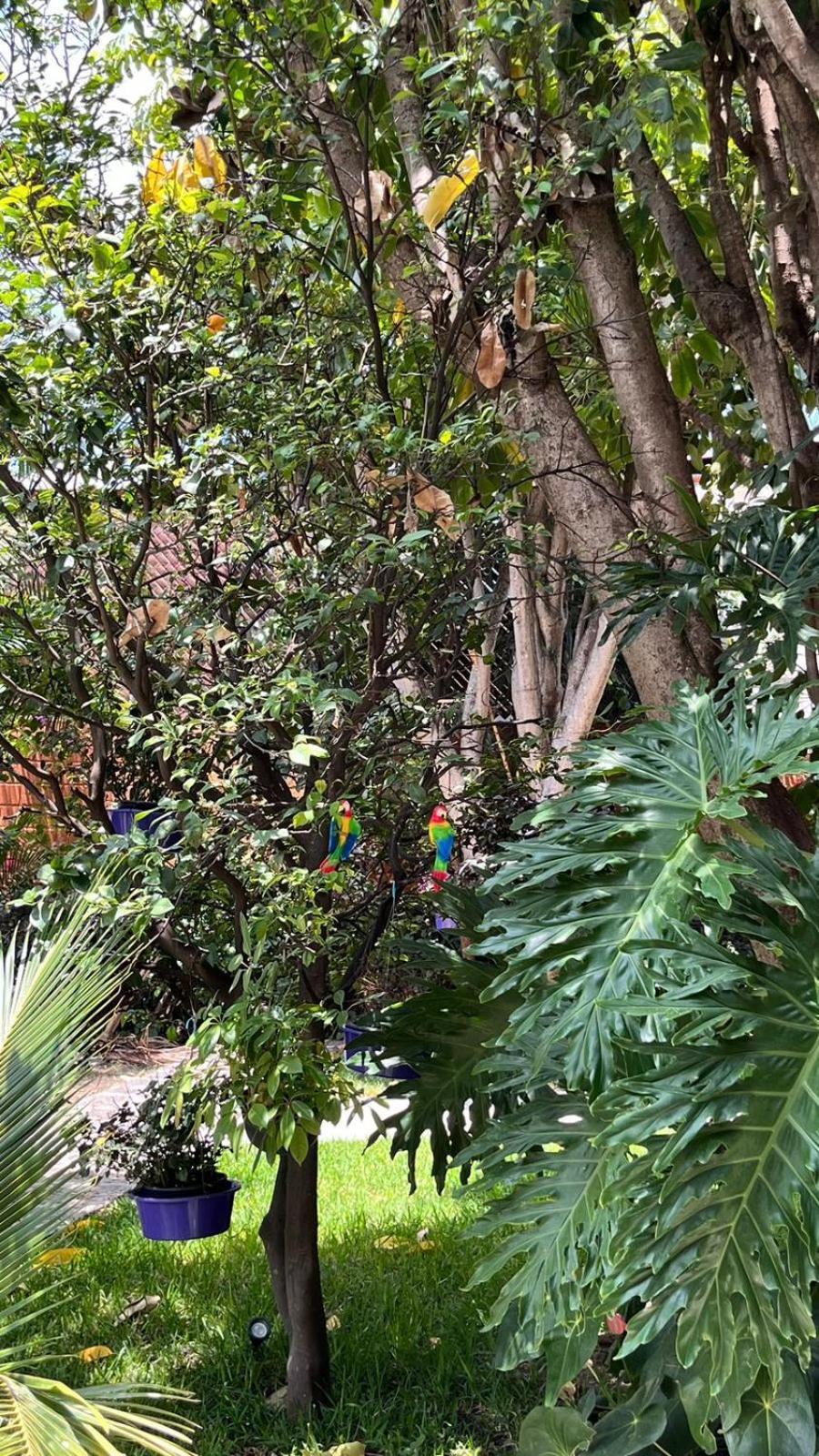 Appartamento Casa Calnacazco Tepoztlán Esterno foto